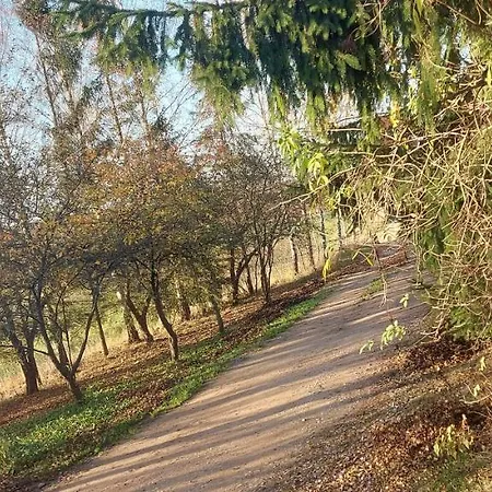 Zlota Wojtowka * Wydminy