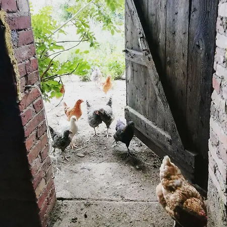 Zlota Wojtowka Bauernhof